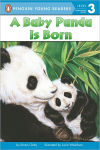 Alternative view 1 of A Baby Panda Is Born