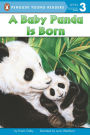 Alternative view 2 of A Baby Panda Is Born