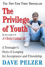 The Privilege of Youth: A Teenager's Story of Longing for Acceptance and Friendship