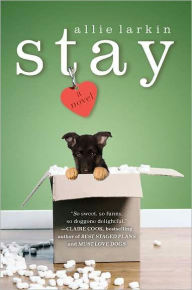 Title: Stay: A Novel, Author: Allie Larkin