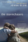 The Stormchasers: A Novel