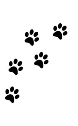 dog paw