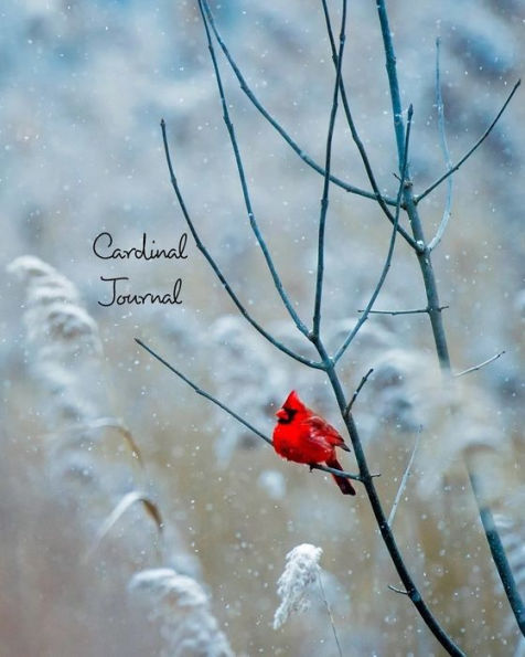 Cardinal Journal: Inspirational, Winter Season, Bird Notebook, Journal