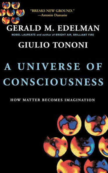 A Universe Of Consciousness: How Matter Becomes Imagination