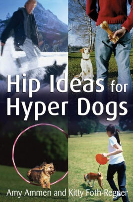 Hip Ideas for Hyper Dogs