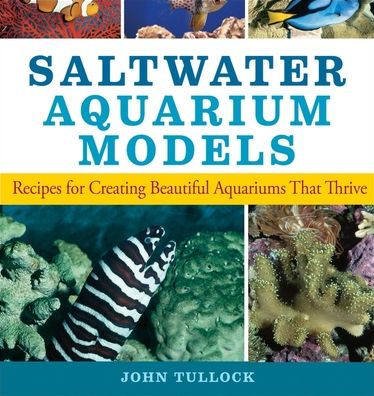 Saltwater Aquarium Models: Recipes for Creating Beautiful Aquariums That Thrive