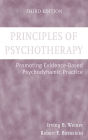 Principles of Psychotherapy: Promoting Evidence-Based Psychodynamic Practice