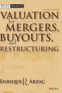 Valuation: Mergers, Buyouts and Restructuring / Edition 2