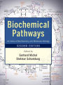 Biochemical Pathways: An Atlas of Biochemistry and Molecular Biology / Edition 2