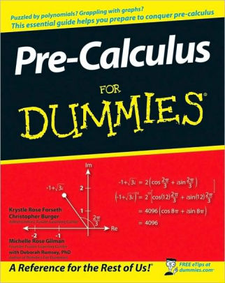 calculus for dummies