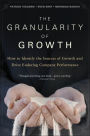 The Granularity of Growth: How to Identify the Sources of Growth and Drive Enduring Company Performance