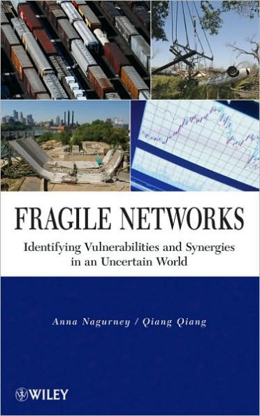 Fragile Networks: Identifying Vulnerabilities and Synergies in an Uncertain World / Edition 1