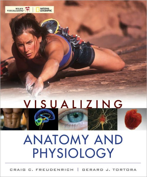 Visualizing Anatomy and Physiology / Edition 1