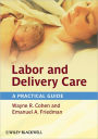 Labor and Delivery Care: A Practical Guide / Edition 1