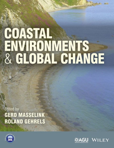 Coastal Environments and Global Change / Edition 1