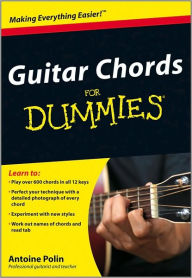 guitar theory for dummies book