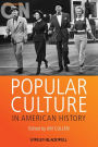 Popular Culture in American History / Edition 2