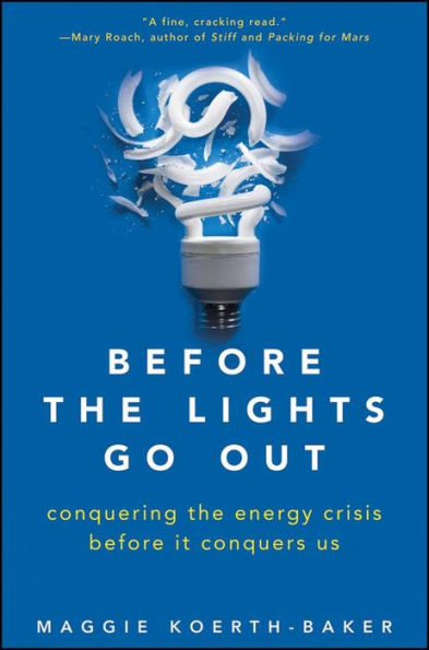 Before the Lights Go Out: Conquering Energy Crisis It Conquers Us