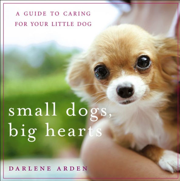 Small Dogs, Big Hearts: A Guide to Caring for Your Little Dog