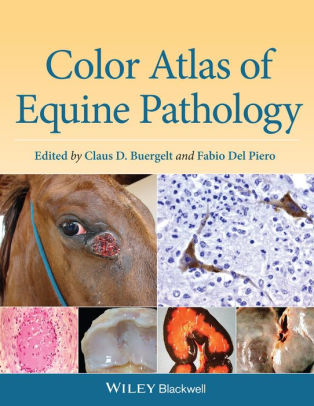 Color Atlas of Xenopus laevis Histology