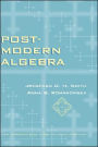 Post-Modern Algebra / Edition 1