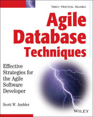 Agile Database Techniques: Effective Strategies for the Agile Software Developer