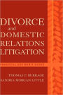 Divorce and Domestic Relations Litigation: Financial Adviser's Guide / Edition 1