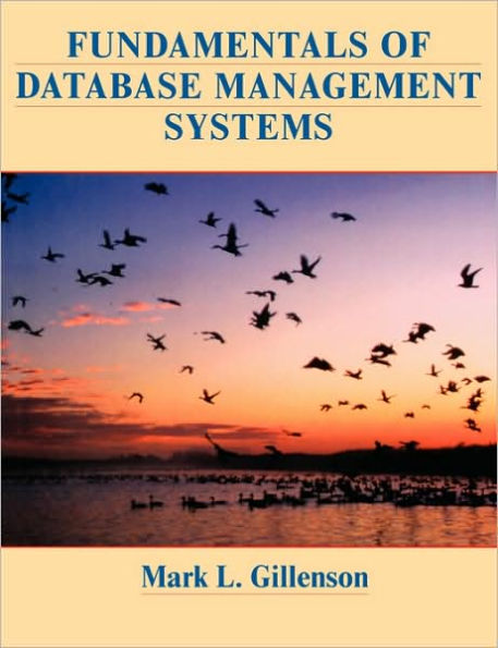 Fundamentals of Database Management Systems / Edition 1