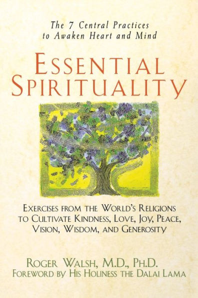 Essential Spirituality: The 7 Central Practices to Awaken Heart and Mind / Edition 1