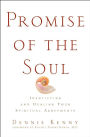 Promise of the Soul: Identifying and Healing Your Spiritual Agreements