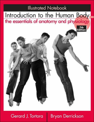 Introduction to the Human Body, Illustrated Notebook: The Essentials of