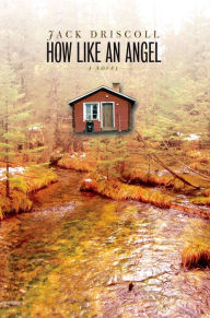 Title: How Like an Angel: A Novel, Author: Jack Driscoll