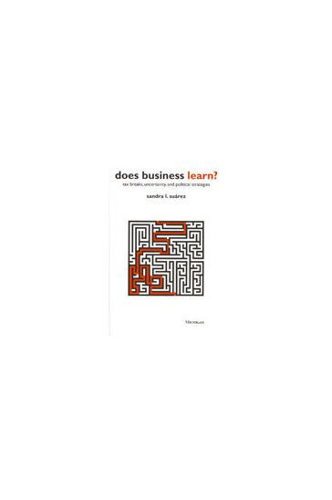 Does Business Learn?: Tax Breaks, Uncertainty, and Political Strategies