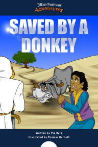 Title: Saved by a Donkey: The story of Balaam's Donkey, Author: Bible Pathway Adventures