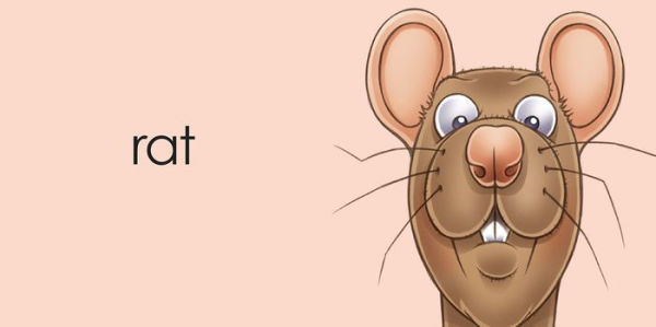 Rat