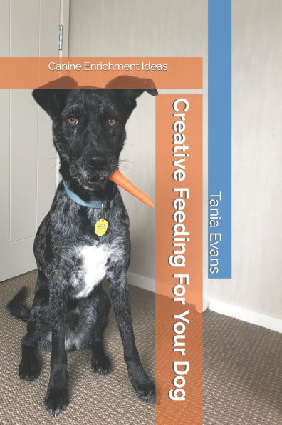 Creative Feeding For Your Dog: Canine Enrichment Ideas