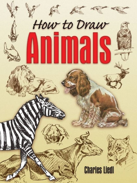 How to Draw Animals by Charles Liedl | eBook | Barnes & Noble®