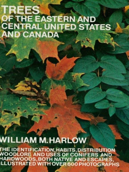 Trees of the Eastern and Central United States and Canada