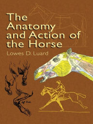 Title: The Anatomy and Action of the Horse, Author: Lowes D. Luard