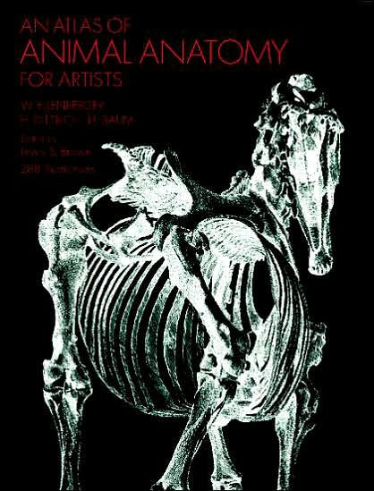 An Atlas of Animal Anatomy for Artists