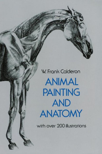 Animal Painting and Anatomy