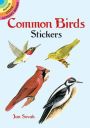 Common Birds Stickers