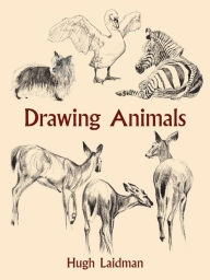 Title: Drawing Animals, Author: Hugh Laidman