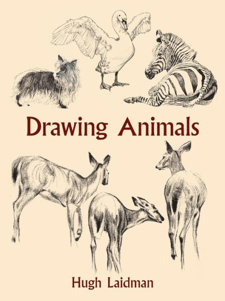 Drawing Animals