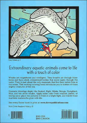 Great Whales Stained Glass Coloring Book Dover Pictorial