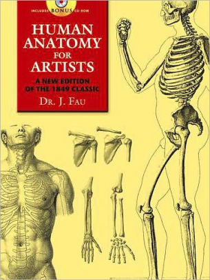 Human Anatomy For Artists A New Edition Of The 1849 Classic With Cd Rom By J Fau Paperback Barnes Noble