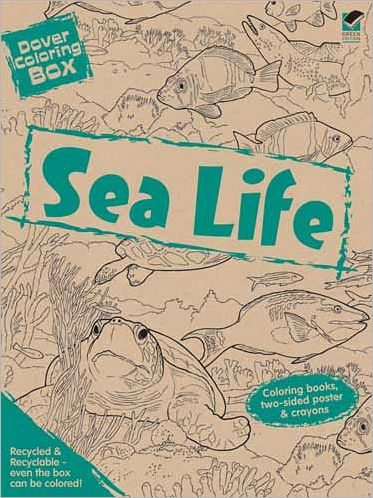 Dover Coloring Box Sea Life