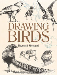 Title: Drawing Birds, Author: Raymond Sheppard