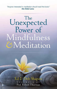 Title: The Unexpected Power of Mindfulness and Meditation, Author: Ed Shapiro