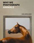 Alternative view 1 of Why We Photograph Animals